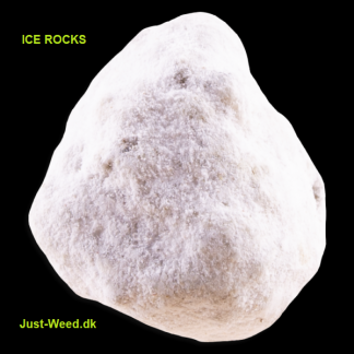 Rocks